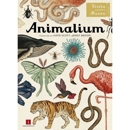 Animalium-500x500